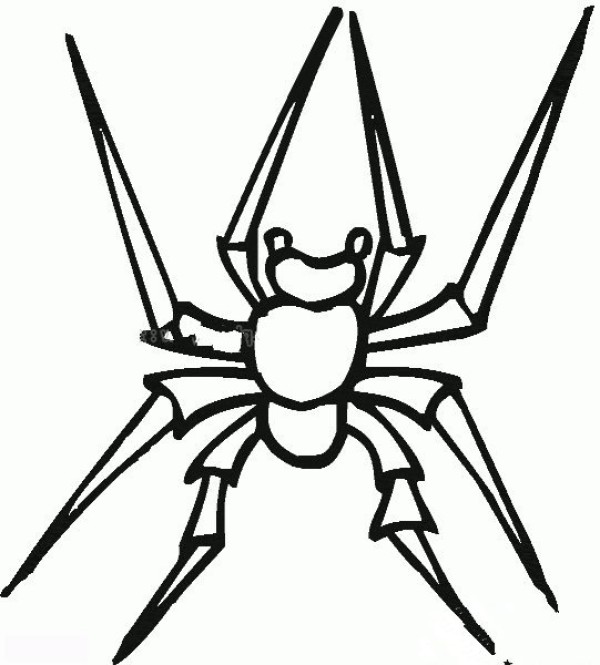 Simple drawing of a spider spinning a web