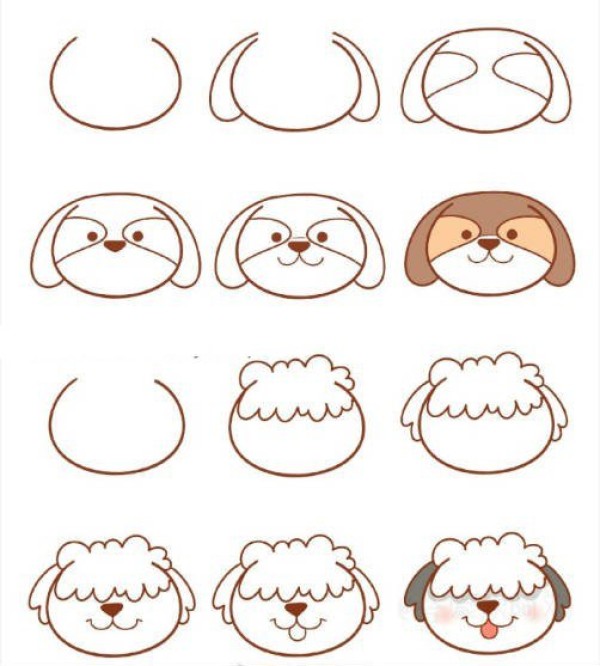 Step-by-step diagram of how to draw the heads of 8 types of puppies