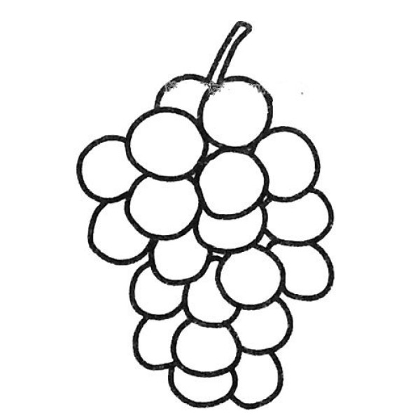 Six beautiful simple drawing pictures of grapes