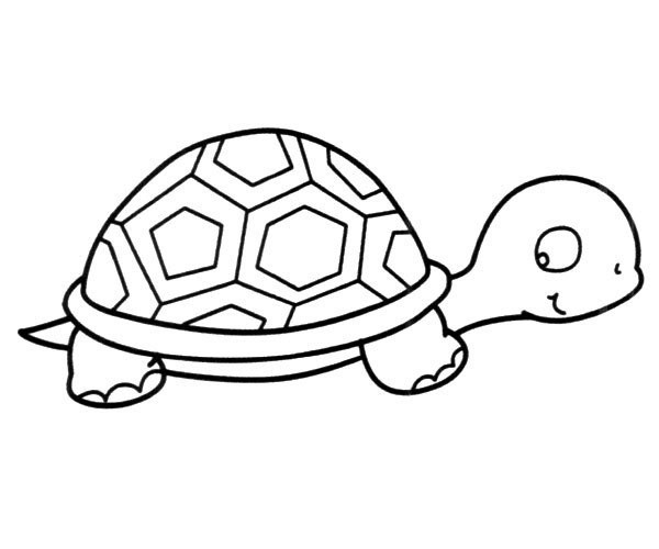 Cute cartoon turtle