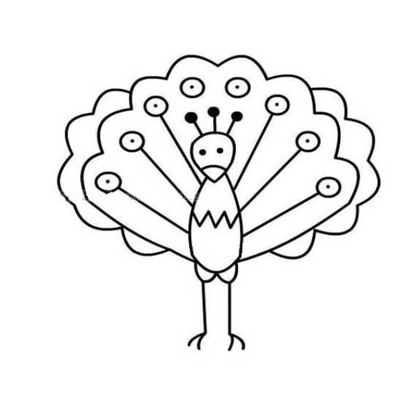 Four simple drawings of peacocks for children