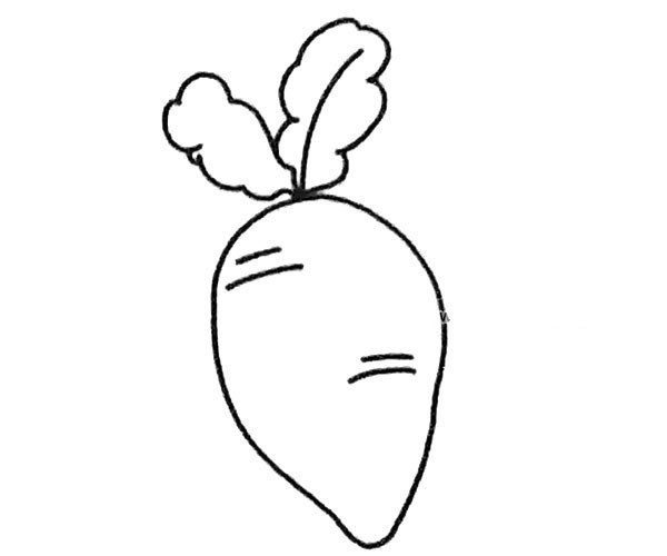 Four simple carrot drawing pictures