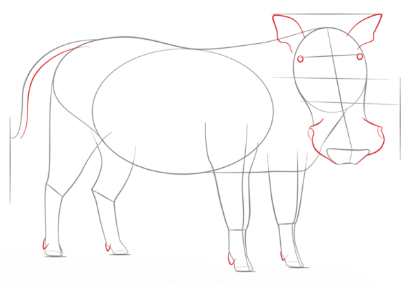 How to Draw a Warthog