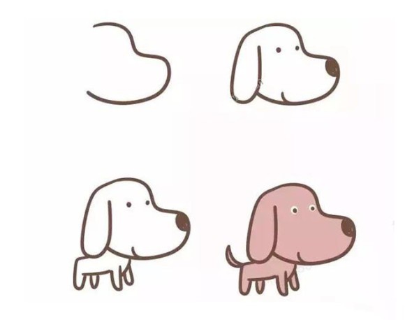 Step-by-step drawing of 4 kinds of puppies in simple strokes