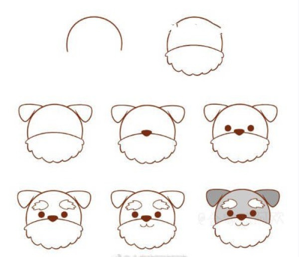 Step-by-step diagram of how to draw the heads of 8 types of puppies