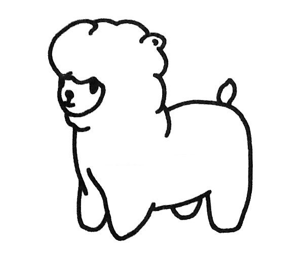 Alpaca simple drawing picture