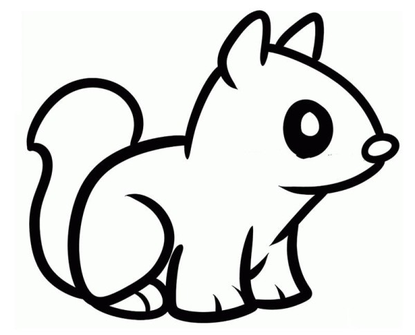 How to draw cute little squirrel