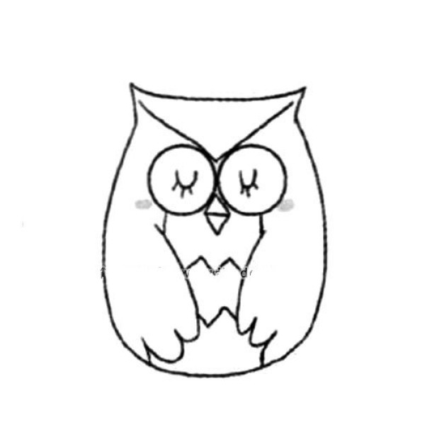 Bird Kingdom Owl