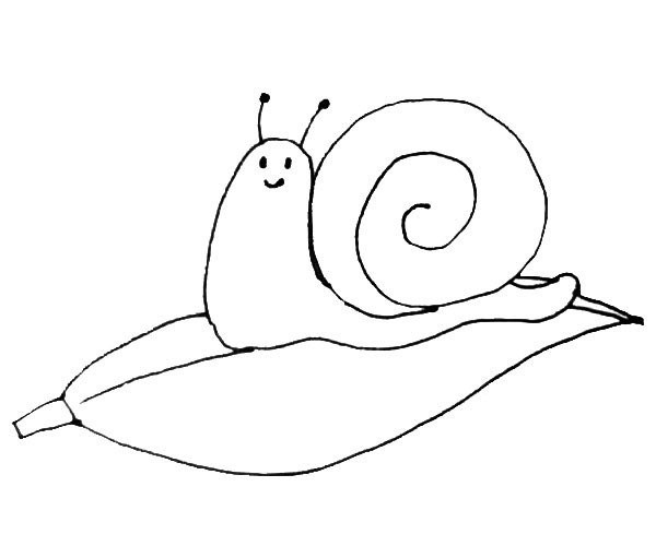 Children learn to draw snails easily