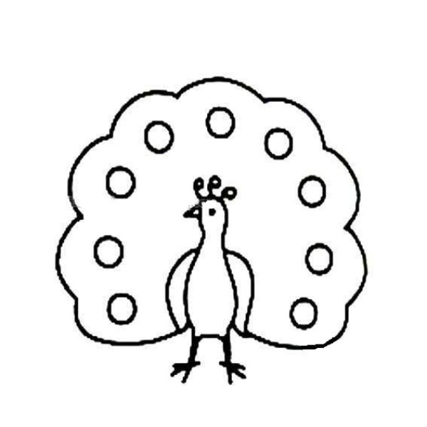 Childrens simple drawing pictures of peacocks