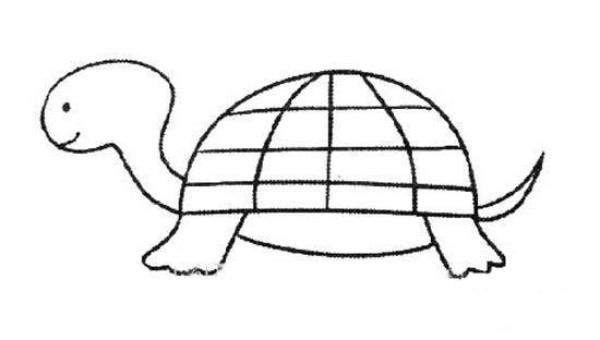 Cute simple drawing of little turtle