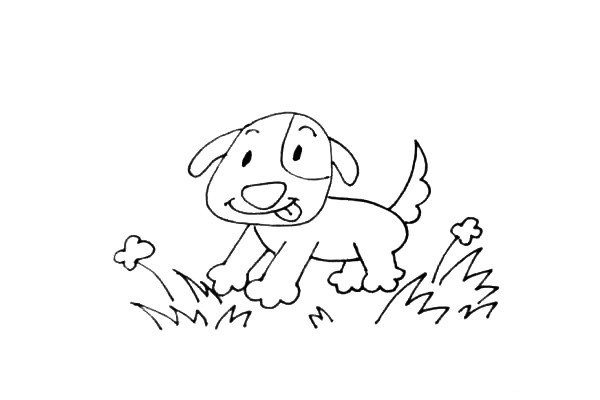 puppy on lawn