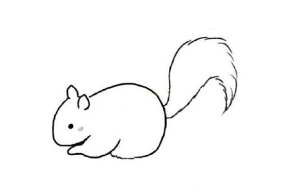 Simple drawing tutorial of little squirrel with big tail