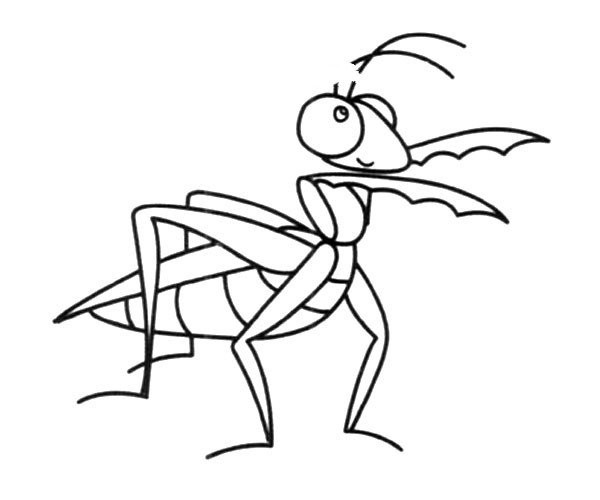 Mantis simple drawing picture