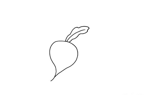 How to draw a radish