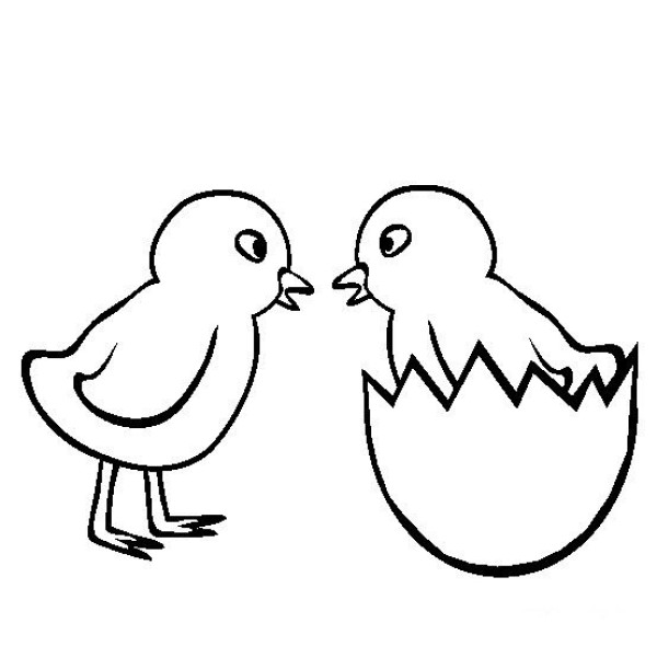 Chicken pictures, simple drawing of two chickens