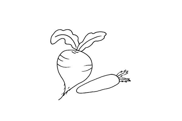 How to draw red radish