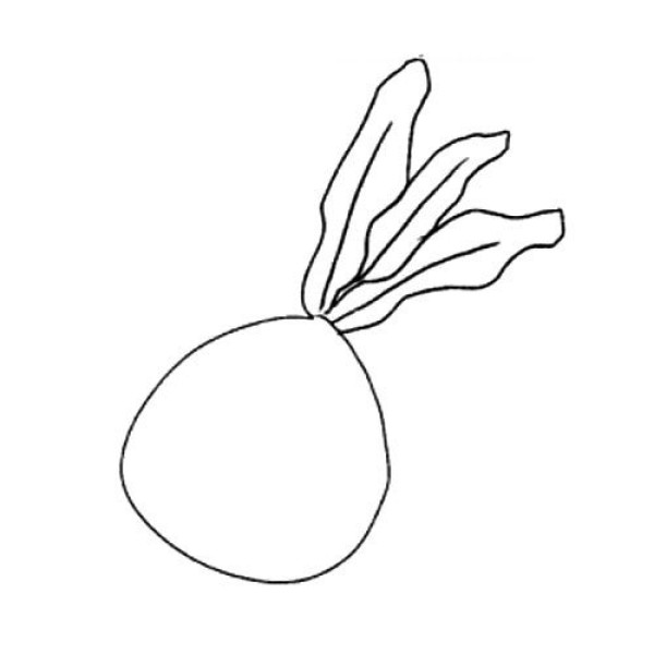 Draw a juicy radish in three easy steps