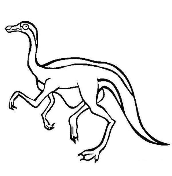 Complete collection of dinosaur pictures, simple drawing pictures of Gallimimus