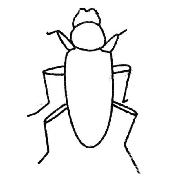 Simple strokes of beetle drawing pictures and drawing steps