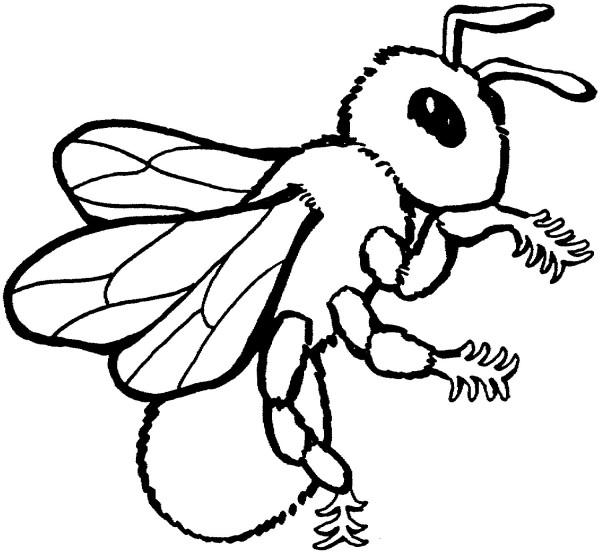 Simple drawing method of bee