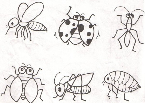 Childrens simple drawings of insects