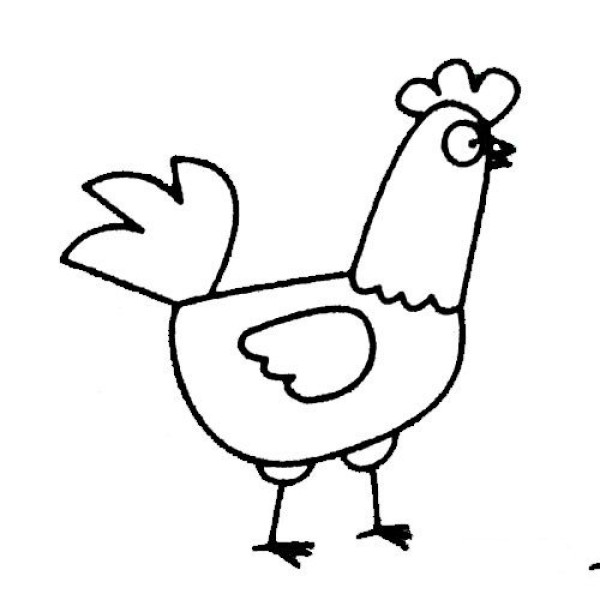 Examples and steps of simple drawing of rooster