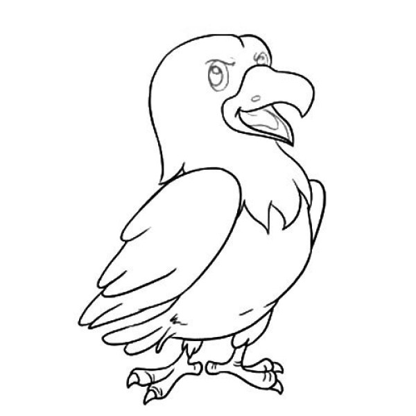 Cartoon eagle simple drawing picture