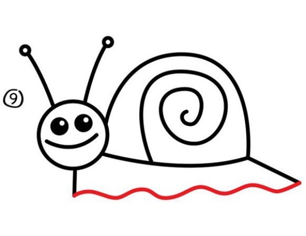 Step by step drawing of snail