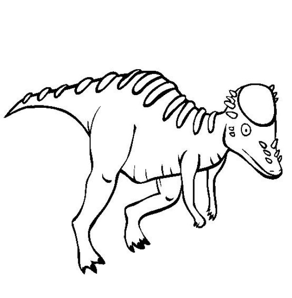 Dinosaur picture collection, simple strokes of Pachycephalosaurus