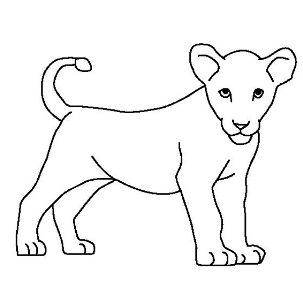 Simple drawings of animals, simple drawings of little lions