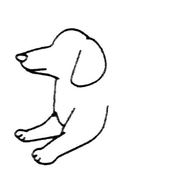 Simple drawing of cute animals Simple drawing of puppy