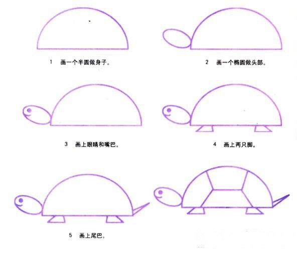 How to draw cartoon turtle picture tutorial