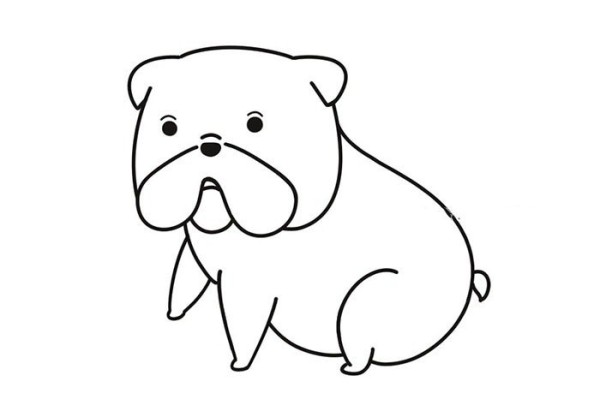 Draw a super cute bulldog