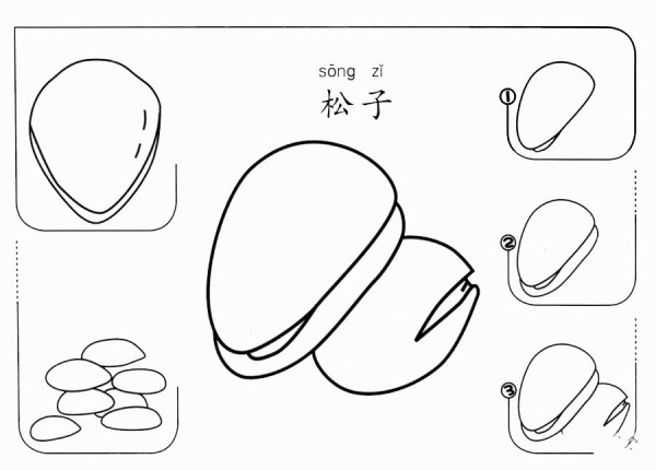 How to draw pine nuts