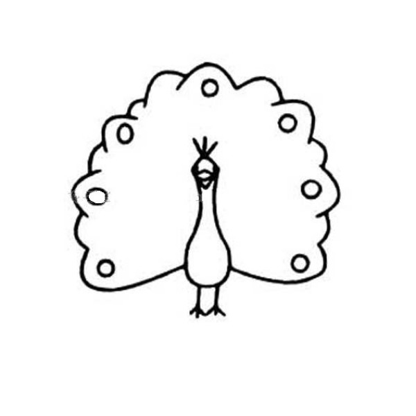 Childrens simple drawing of peacock with tail open