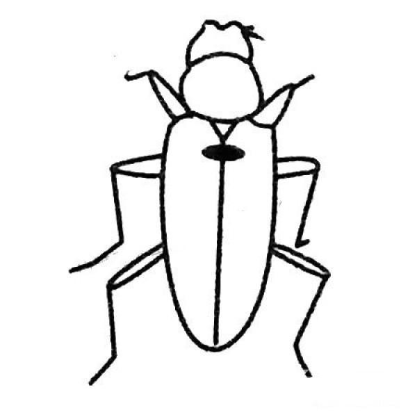 Simple strokes of beetle drawing pictures and drawing steps