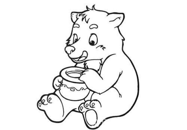 bear eating honey