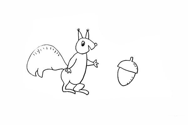 How to draw a little squirrel