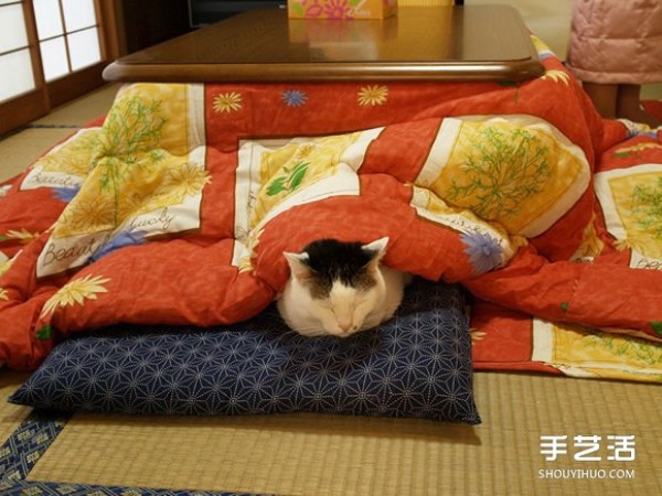 When the weather gets cold, everyone will need such a comfortable kotatsu