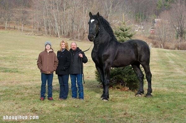 The 21 largest animals in the world record are so big that its scary! 