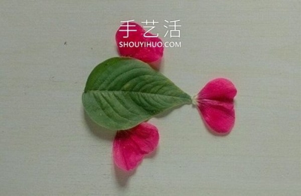 The picture of goldfish pasted on leaves and petals is simple and beautiful