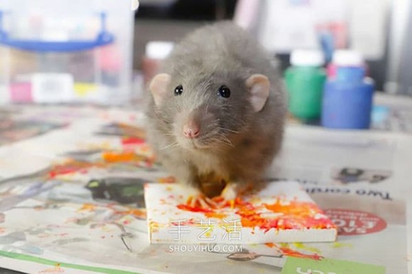 The miniature paintings created by the talented mouse have been sold out! 