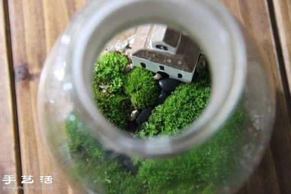 DIY cute moss landscaping, homemade beautiful moss micro-landscape