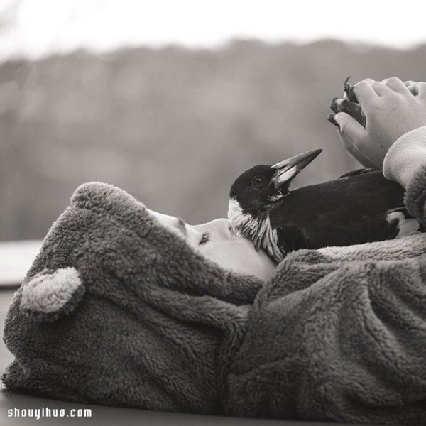 The heart-warming story of the little boy Noah and the magpie Penguin