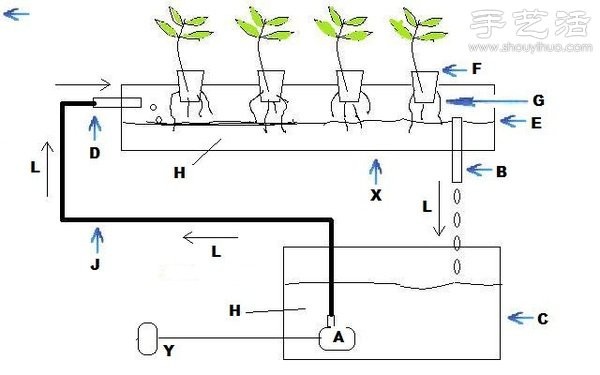 Super detailed hydroponic vegetable growing tutorial, you can grow vegetables conveniently at home! 