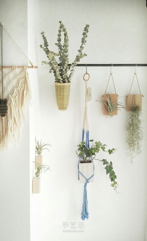 Pictures of flowers on a small balcony, beautiful and space-saving! 