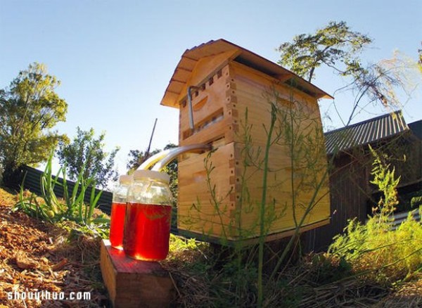 Flow Hive Convenient and fast new beehive design