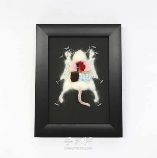 Animal anatomy knitted works! Turn anatomy scenes into cute displays