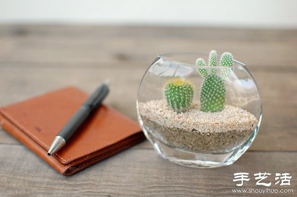 DIY Cute Cactus Potted Plant